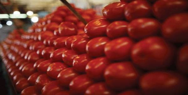 Four tomatoes a day may reduce kidney cancer risk